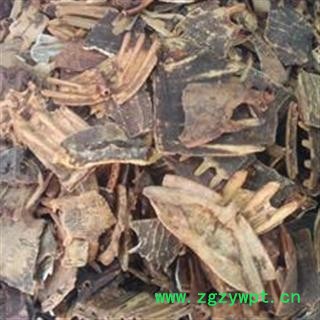 鳖甲 统货鳖甲 不保检验 产地 浙江省图2