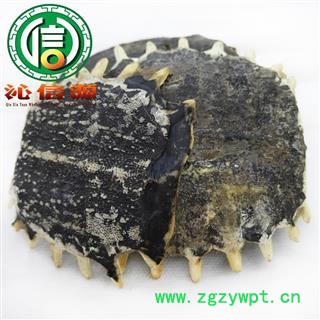 【满包邮】鳖甲整块无肉个子统货产地直供沁信源中药批发图2