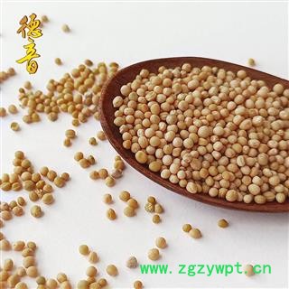 【满包邮】白芥子 统货 产地四川 1000g 中药材批发 规格齐全图2