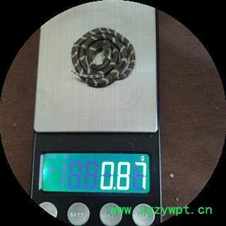 世元药业 小白花蛇 包正品 养殖1g左右重 别称 百花蛇 胎蛇 金钱白花蛇 小花蛇 银环蛇 金钱蛇 金钱蕲蛇 寸白蛇 白菊花图3