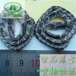 世元药业 小白花蛇 包正品 养殖1g左右重 别称 百花蛇 胎蛇 金钱白花蛇 小花蛇 银环蛇 金钱蛇 金钱蕲蛇 寸白蛇 白菊花图2