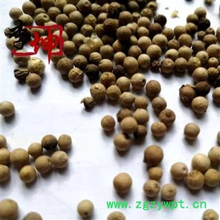 【99包邮】白胡椒 统货 产地 海外 【良心经营 品种齐全】图4