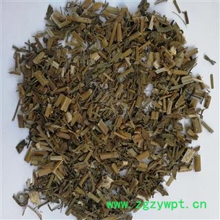 蓍草 蜈蚣草 飞天蜈蚣 乱头发  羽衣草 千条蜈蚣 锯草 一枝蒿图4