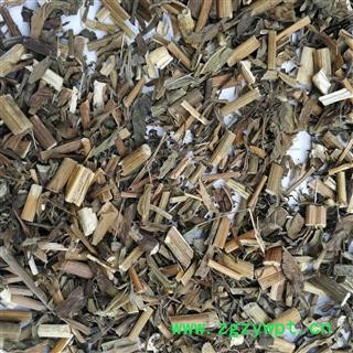 蓍草 蜈蚣草 飞天蜈蚣 乱头发  羽衣草 千条蜈蚣 锯草 一枝蒿图2