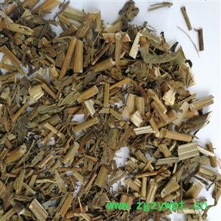 蓍草 蜈蚣草 飞天蜈蚣 乱头发  羽衣草 千条蜈蚣 锯草 一枝蒿图3