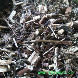 蓍草 追风草 统货 产地 云南省图2