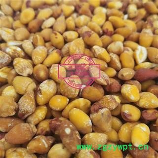 白果 白果仁选货 产地 江苏省图2