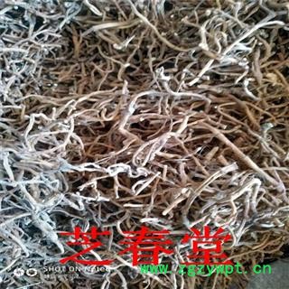 芝春堂 供应中药材 鱼腥草根 折耳根  节节根图4