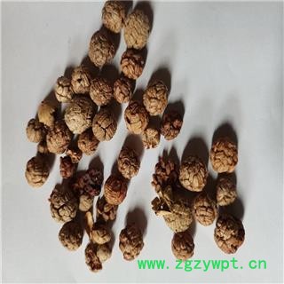 草豆蔻 01统 草寇 草扣产地 广西壮族自治区钦州市灵山县图2