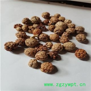 草豆蔻 01统 草寇 草扣产地 广西壮族自治区钦州市灵山县图3