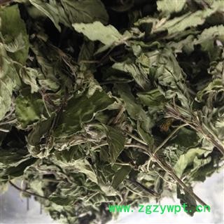 薄荷 薄荷茶 泡茶用薄荷头 产地 安徽省图2