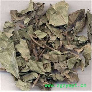 京辉药业 不出林 矮地茶 平地木 正品图2