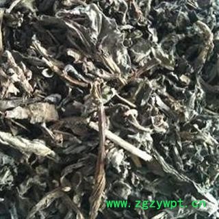 败酱草 选黄花龙牙 败丈、败将、泽败、鹿肠草批发中药材 花茶 矿石 产地 浙江省金华市磐安县图3