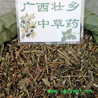 广西壮乡中草药 野生 黄花 败酱草 产地 广西柳州图2