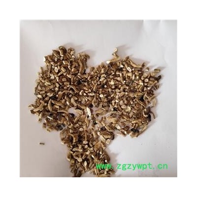 板蓝根 段统 产地 辽宁省大连市长海县