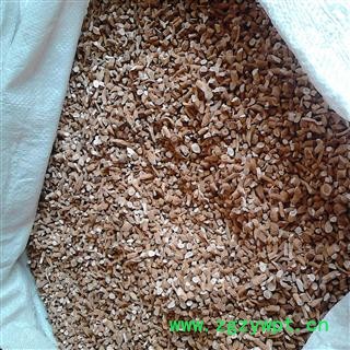 板蓝根 段统 产地 辽宁省大连市长海县图4