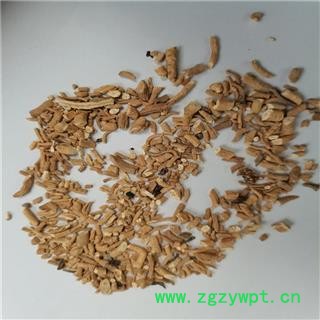 板蓝根 段统 产地 辽宁省大连市长海县图3