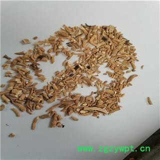 板蓝根 段统 产地 辽宁省大连市长海县图2