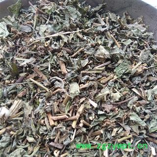 败酱草 统 产地 山东省图2