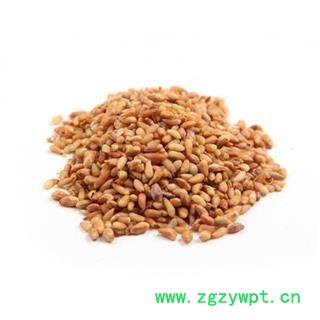 柏子仁 统 产地 山东省 产地直销 重在质量图3