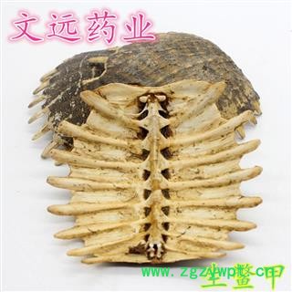 鳖甲  制鳖甲陈货统货 产地 河南省图3