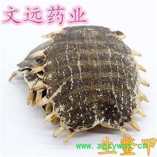 鳖甲  制鳖甲陈货统货 产地 河南省图2
