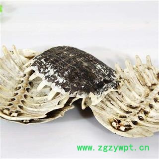 鳖甲 生鳖甲正品鳖甲保证质量7天无理由退货退款 中药材批发 丽丽药业 丽丽药业图2