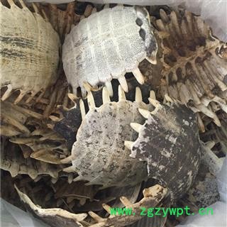 新辉药业正品鳖甲 上甲 团圆甲图3