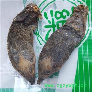 吉康药业鳖头 个大 鳖首 龟头图2