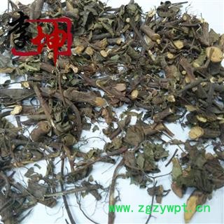 【冷偏奇】地板藤 地瓜藤 地石榴 地果藤 地枇杷 统图3