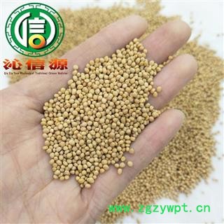 【满包邮】白芥子选货散装产地直供沁信源中药批发图3