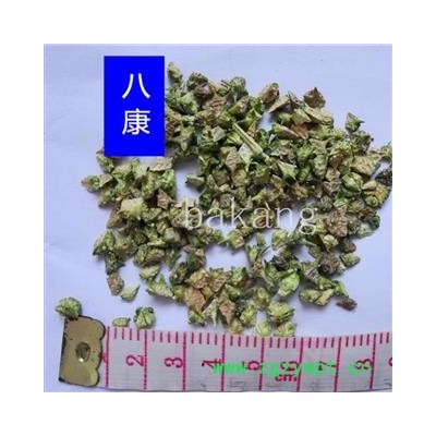 白蒺藜 02统