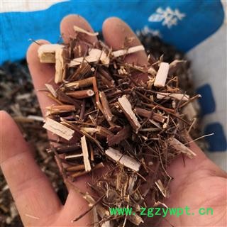 新辉药业蓍草 蜈蚣草 飞天蜈蚣 乱头发 土一支蒿 羽衣草图3