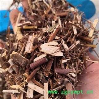 新辉药业蓍草 蜈蚣草 飞天蜈蚣 乱头发 土一支蒿 羽衣草图2