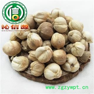 【满包邮】白豆蔻无硫统货白蔻散装白扣产地直供白寇巴沁信源中药批发图4