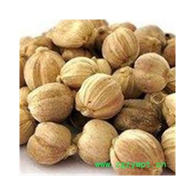 豆蔻 白寇 白扣 白豆蔻 产地 广西壮族自治区