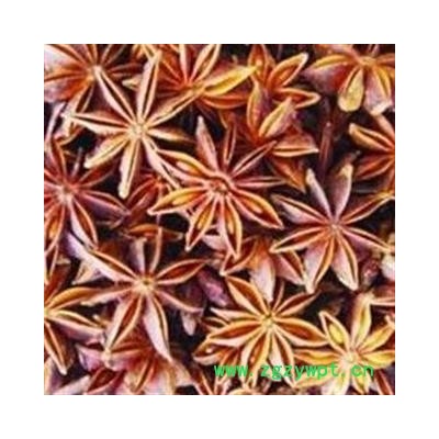八角 好统货 无杂质 纯干货 味道浓郁 产地 广西壮族自治区