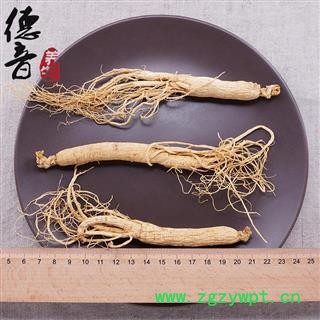 【满包邮】人参 50支  无断须 无水锈  无虫眼 边条参 吉林 1000g 中药材批发 规格齐全图2