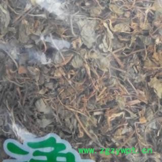 连钱草 冷背中药材 连钱草  德誉堂药业批发各种中药材图2