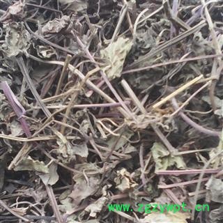 连钱草 冷背中药材 连钱草  德誉堂药业批发各种中药材图3