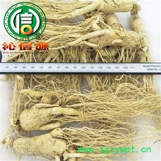 【满包邮】人参30支散装吉林原皮参产地直供生晒参沁信源中药批发图2