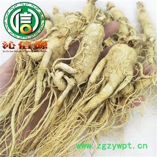 【满包邮】人参30支散装吉林原皮参产地直供生晒参沁信源中药批发图3