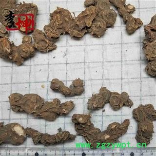 【99包邮】鬼臼 八角莲 选货 八角金盘八角莲 山荷叶 金魁莲 旱八角 独角莲 一碗水图4