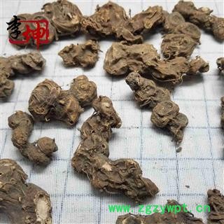 【99包邮】鬼臼 八角莲 选货 八角金盘八角莲 山荷叶 金魁莲 旱八角 独角莲 一碗水图3