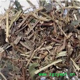 冷背中药材金钱草 小叶金钱草 连线草 一串钱图2