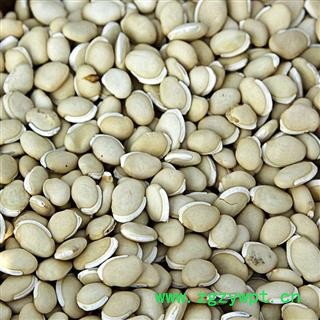 白扁豆 广西进口白扁豆选货 产地 海外图2