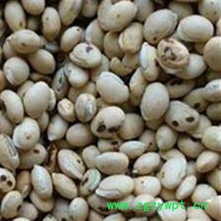 白扁豆 白扁豆 炒白扁豆  产地 云南省图2