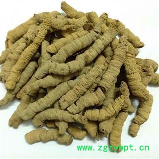 巴戟 精特选 产地 广东省图2