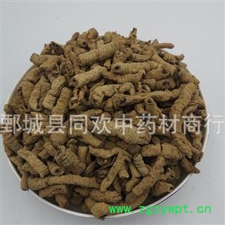 【中选巴戟肉】@【同欢药材】中药材批发供应  规格齐全 量大从优 产地 广东省图3