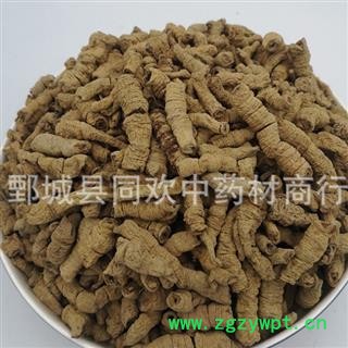 【中选巴戟肉】@【同欢药材】中药材批发供应  规格齐全 量大从优 产地 广东省图2